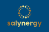 salynergy.com logo prime